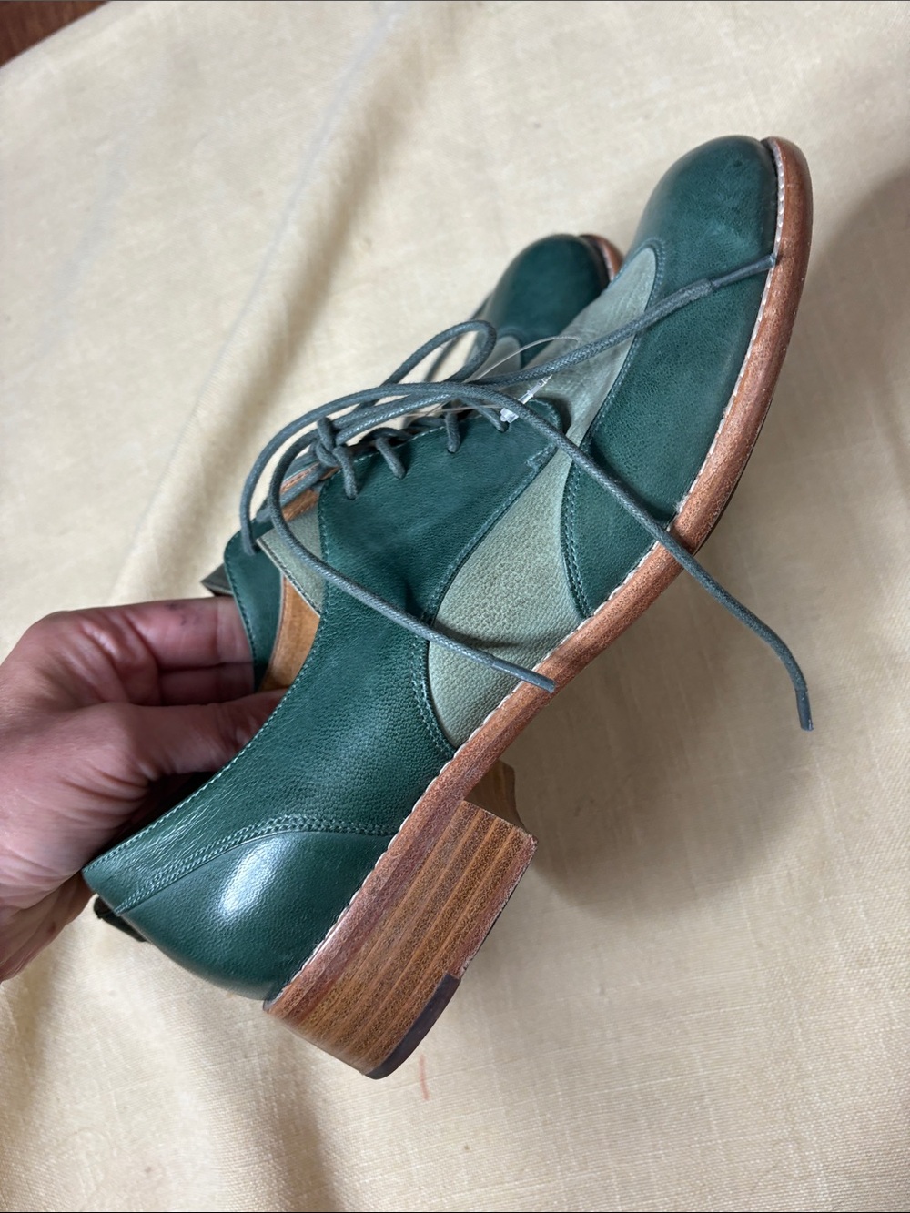 Chocolat Blu Two-Tone Green Wingtip Derby Oxfords - Picture 7 of 8